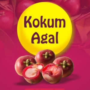 Kokum Agal